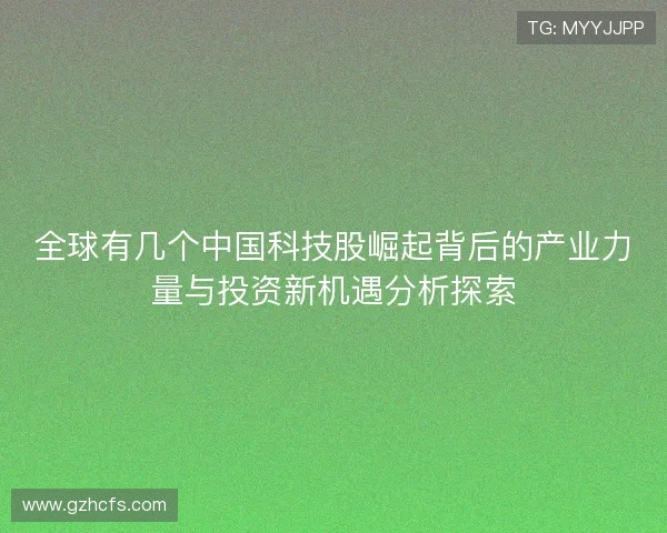 全球有几个中国科技股崛起背后的产业力量与投资新机遇分析探索